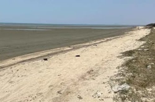 Albaniyada avtomobil qəzası nəticəsində 8 nəfər öldü