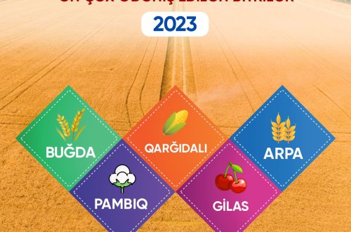 Aqrar Sığorta Fondu 2023-cü ilin nəticələrini açıqlayıb