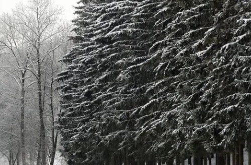 Moskvada qasırğa nəticəsində 2 nəfər ölüb