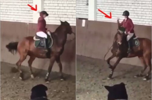 Rusiyalı idmançının ata qarşı qəddarlığı məşqçini heyrətə gətirdi - FOTO/VİDEO