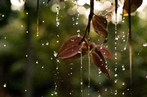 Ölkə ərazisində hava şəraiti yağıntılı olub, dağlıq yerlərə qar yağıb - FAKTİKİ HAVA