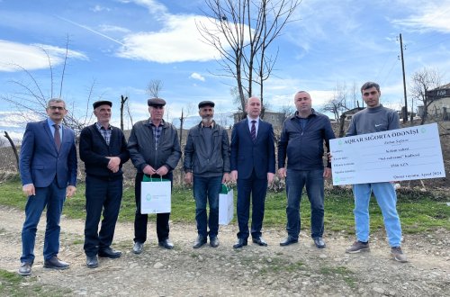 Gilas və badam bağları, kələm əkinləri üzrə fermerlərə aqrar sığorta ödənişi edilib