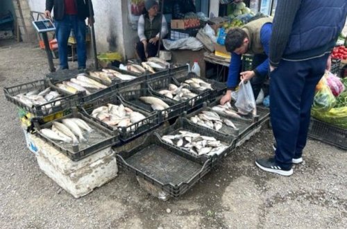 Tovuzda bazarda yoxlama aparıldı: Nöqsanlar aşkarlandı - FOTO