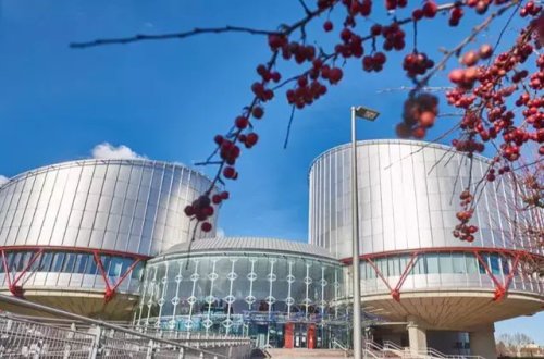 Dörd isveçrəli qadın iqlim davasında qalib gəldi