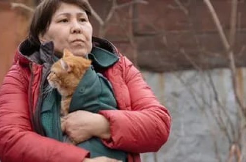 Rusiya və Qazaxıstanda su səviyyəsi qalxmaqda davam edir