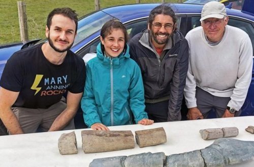 11 yaşlı uşağın tapdığı fosilin 202 milyon il yaşı olduğu ortaya çıxdı