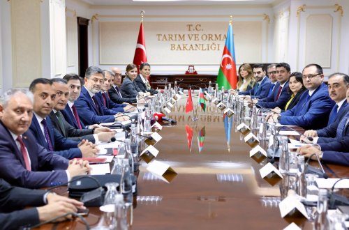 Ankarada Türkiyə-Azərbaycan Kənd Təsərrüfatı İcra Komitəsinin 11-ci iclası keçirilib