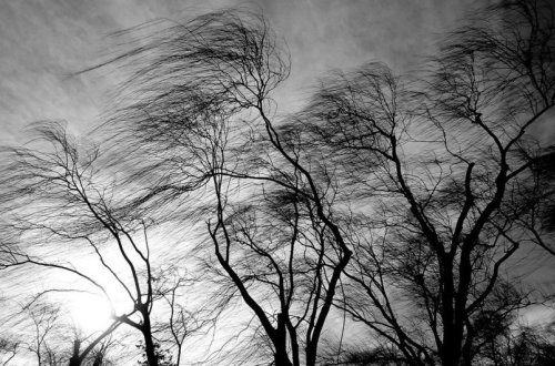 Faktiki hava: Ölkə ərazisinin bəzi yerlərində arabir güclənən şimal-qərb küləyi əsir