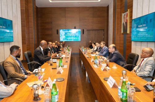 Keniya “ASAN xidmət” konsepsiyası ilə maraqlanır