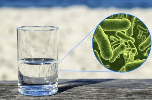 Fransada içməli suda təhlükəli bakteriyalar aşkarlanıb