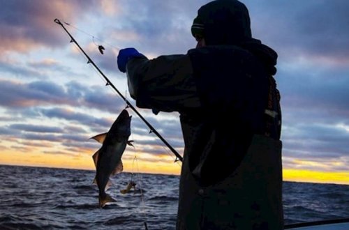 Azərbaycanda mayın 1-dən balıq ovu qadağan edilir