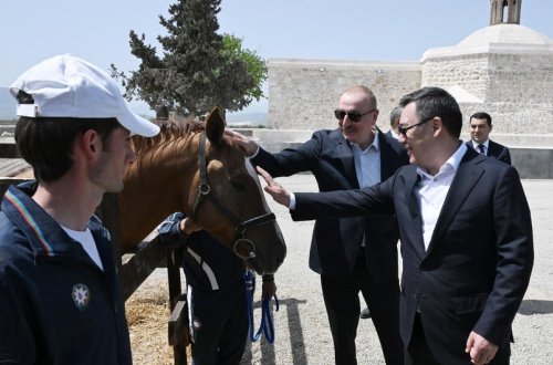Qırğızıstan Prezidentinə Qarabağ atı hədiyyə edilib