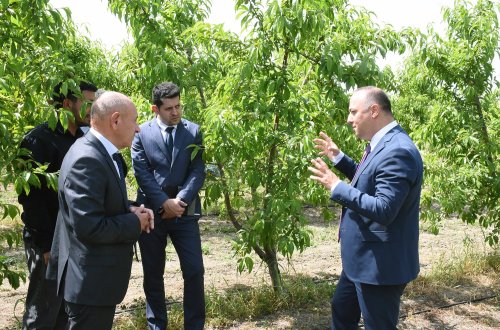 Kənd Təsərrüfatı Nazirliyinin Aparat rəhbəri Azad Cəfərli Ağsuda vətəndaşları qəbul edib, təsərrüfatlara başa çəkib