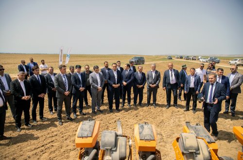 Yevlaxda “Yaşıl dünya naminə həmrəylik ili