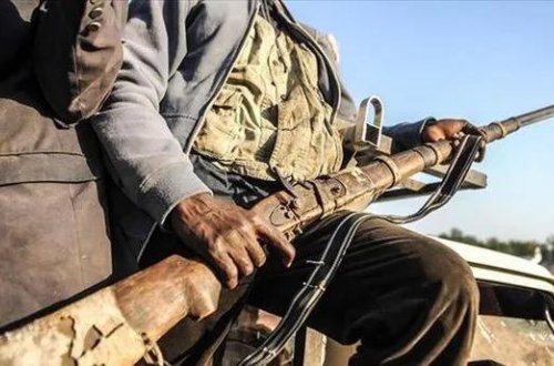 Nigeriyada 6 terror təşkilatı üzvü təslim olub