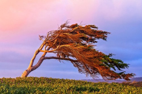 Külək güclənəcək, çaylardan sel keçəcək - XƏBƏRDARLIQ