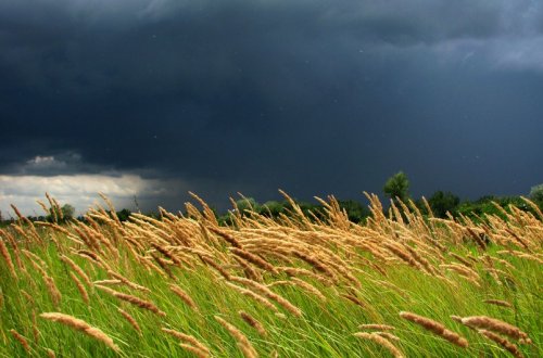 Şimal-qərb küləyi sabah axşamadək davam edəcək - FAKTİKİ HAVA