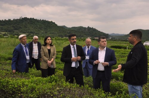 Elm, təhsil və insan resursları şöbəsinin müdiri İlham Süleymanov Lənkəranda vətəndaşları qəbul edib, təsərrüfatlara baş çəkib
