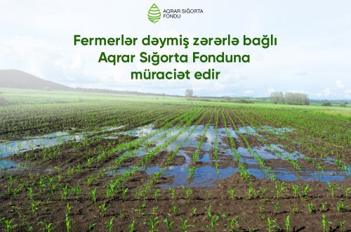 Aqrar Sığorta Fondu: Hava şəraitinin dəyişməsi ilə əlaqədar təsərrüfatlara zərər dəyməsi barədə 20 müraciət daxil olub