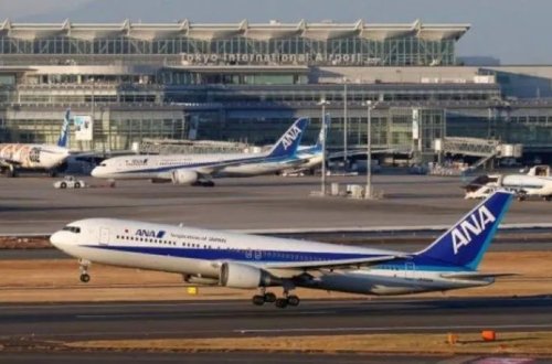 Yaponiyanın hava yolu şirkəti xalis mənfəətini artırıb