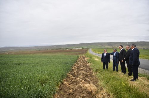 Nazir müavini Sarvan Cəfərov Qobustanda vətəndaşları qəbul edib, təsərrüfatlara baş çəkib