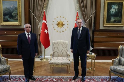 Ərdoğan Əli Əsədovu qəbul edib, ona COP-29-la bağlı rəsmi dəvət məktubu təqdim olunub - YENİLƏNİB
