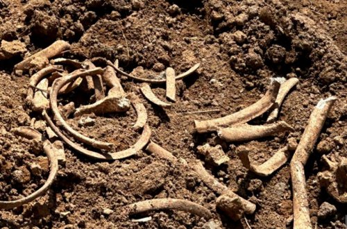 Malıbəylidə insana məxsus sümük fraqmentləri aşkar edilib