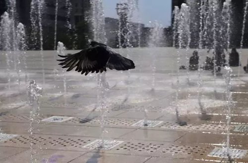 Meksikada həddindən artıq istilər 21 ştatı işıqsız qoyub