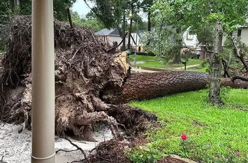 Texasda güclü qasırğa baş verin: 4 ÖLÜ