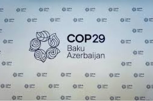 COP29-la bağlı vergi güzəştlərinin tətbiq edilməsi təsdiqlənib