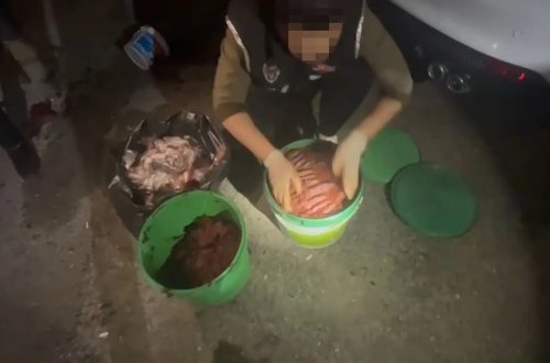 Tomat bankasından 14 ədəd silah aşkar edildi