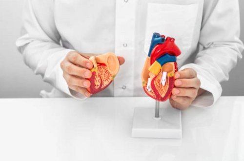 Yaponiya dünyada ürək xəstəliklərinin müalicəsində iPS-hüceyrələrdən istifadə edən ilk ölkə olacaq