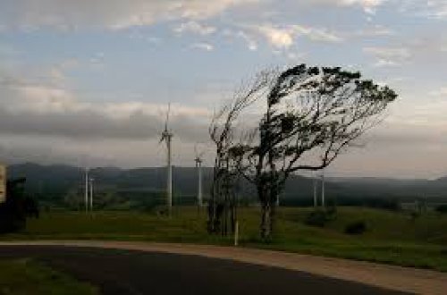 Faktiki hava: Bəzi bölgələr üçün orta riskli sarı xəbərdarlıq verilib