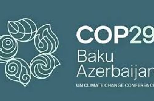 COP29 könüllüləri üçün qeydiyyat başlayıb