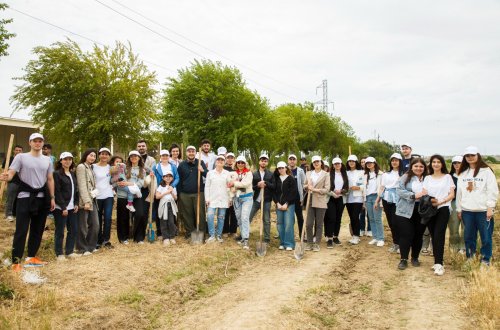 Əkinçilik Elmi-Tədqiqat İnstitutunun ərazisində COP29 çərçivəsində ağacəkmə aksiyası keçirilib