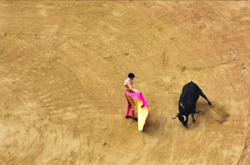 Kolumbiyada öküz döyüşü qadağan edildi