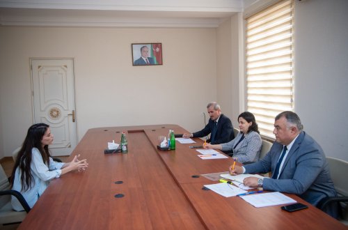 Kənd təsərrüfatı nazirinin müavini İlhamə Qədimova Salyanda vətəndaşları qəbul edib, fermerlərlə görüşüb