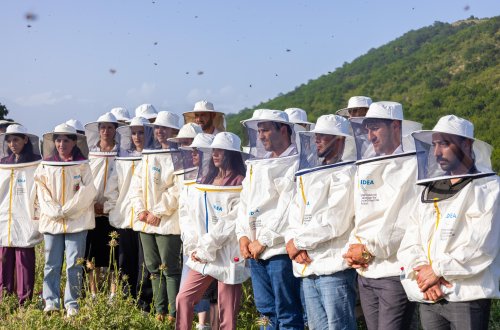 “Gənc arıçı” layihəsinin təlim mərhələsinə start verilib