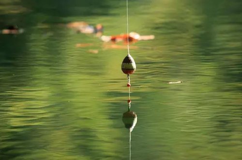 Nyu Yorkda göldə balıq tutarkən 100 min dollar tapıblar