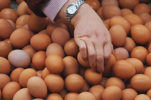 Azərbaycanda yumurta bahalaşdı