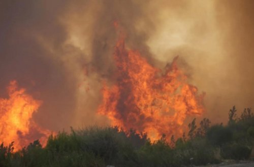Azərbaycanda yüksək və orta yanğın təhlükəsi gözlənilən bölgələr məlum olub