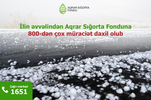 2024-cü ilin 5 ayında qeyri-sabit hava şəraiti ilə əlaqədar Aqrar Sığorta Fonduna 800-dən çox müraciət daxil olub