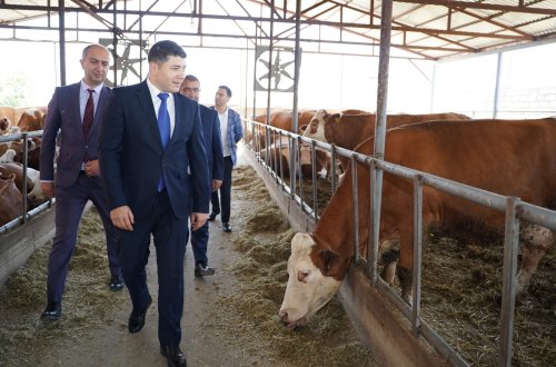 Aqrar Kredit və İnkişaf Agentliyinin sədri Seymur Mövlayev Xızıda vətəndaşları qəbul edib, təsərrüfatlara baş çəkib