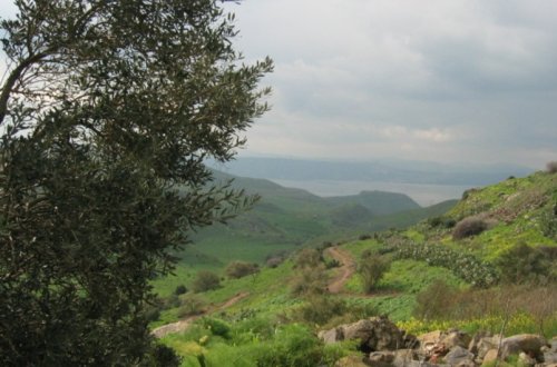 Qolan təpələri yaxınlığında uçan aparat düşüb