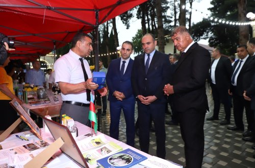 Samux rayonunda Aqrar Biznes və Ərik Festivalı keçirilib