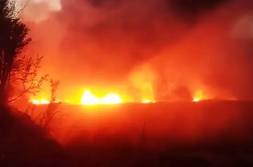 Cənubi Kiprdə meşə yanğını nəticəsində 5 kənd boşaldıldı