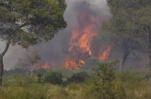 Fransada meşə yanğınında 600 hektar ərazi yanaraq kül olub