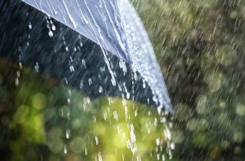 Sabah 35 dərəcə isti olacaq, bəzi yerlərdə yağış yağacaq, külək əsəcək