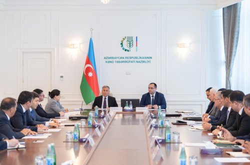 Ərzaqlıq buğda ilə özünütəminetmə səviyyəsinin yüksəldilməsinə dair yaradılmış İşçi Qrupunun 8-ci iclası keçirilib