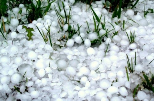 Qaxa güclü dolu düşüb, meyvə ağaclarına və təsərrüfatlara ziyan dəyib